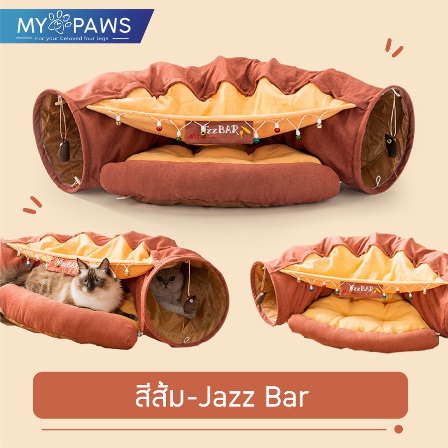  อุโมงค์แมว Cozy Tunnel - Orange Jazzbar 
