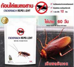 ก้อนไล่แมลงสาบ