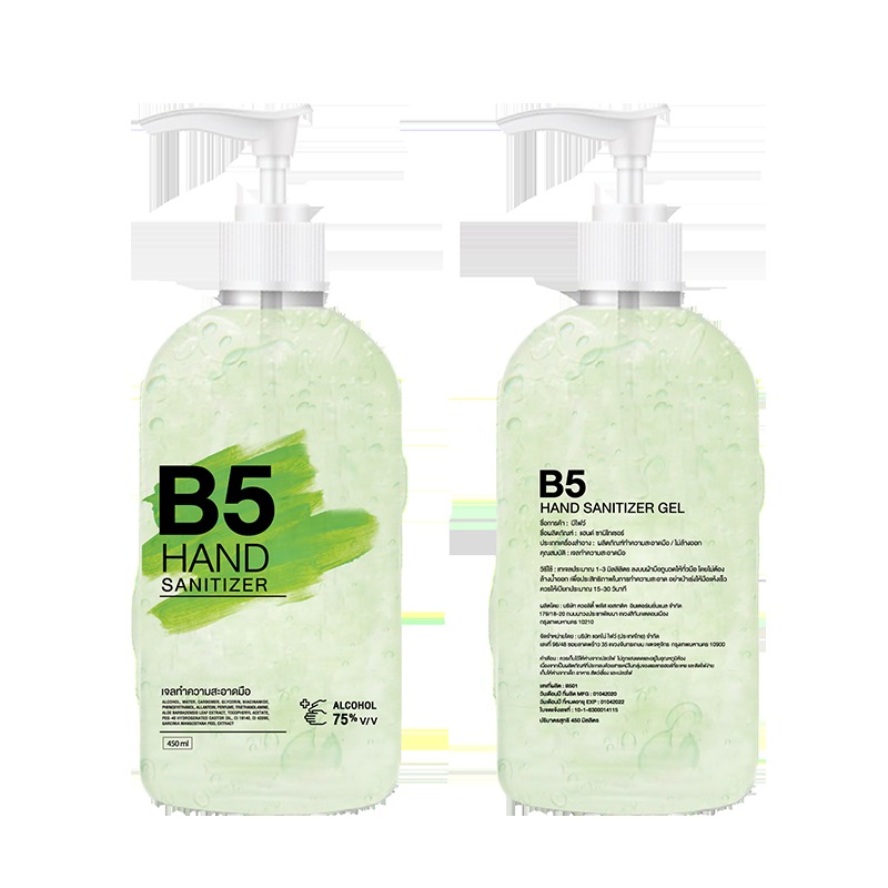 B5 Hand Sanitizer 450 ml