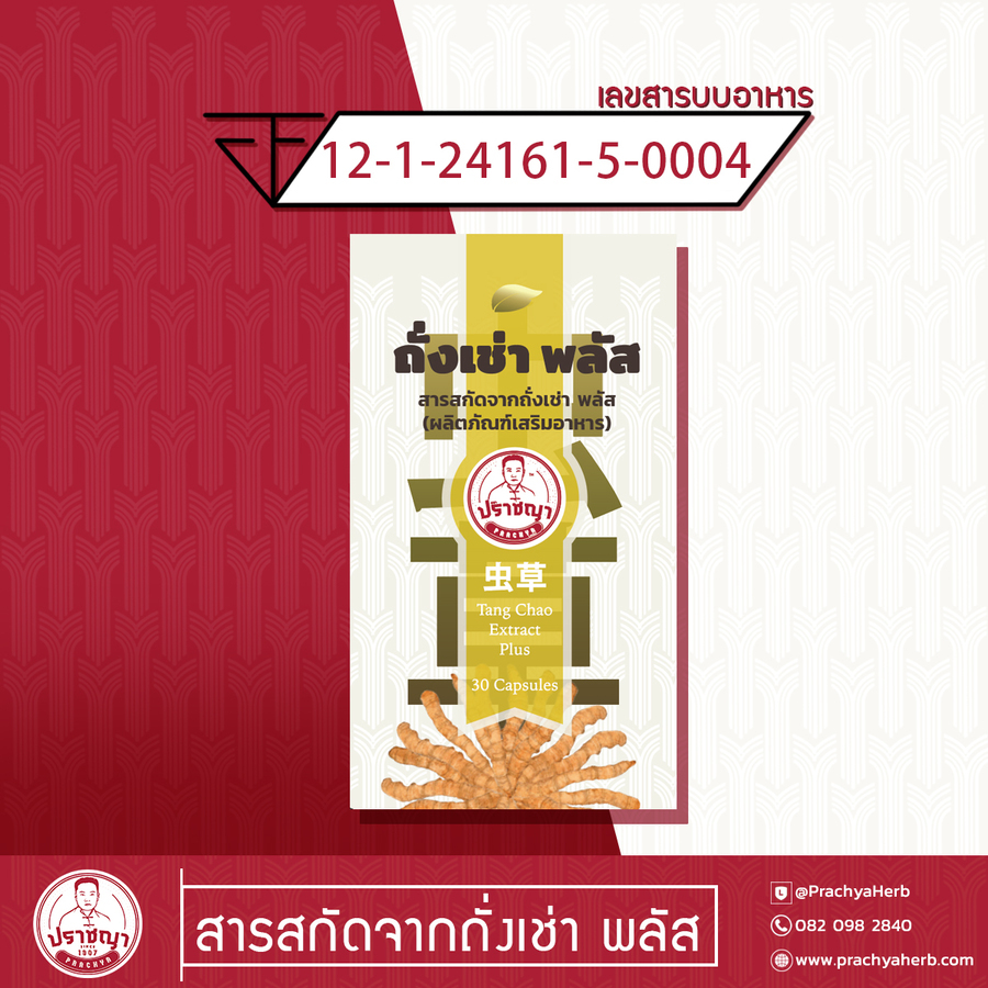 สารสกัดจากถั่งเช่า พลัส (ผลิตภัณฑ์เสริมอาหาร)