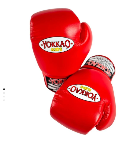 MATRIX RED BOXING GLOVES FOR KIDS 4oz