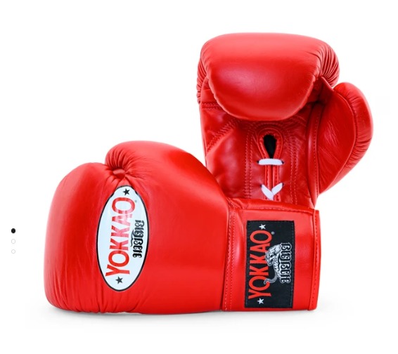 MATRIX RED LACE UP BOXING GLOVES 12oz