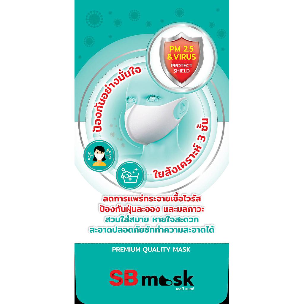 หน้ากากป้องกันฝุ่นสำหรับผู้ใหญ่ขนาดบรรจุ 24 ชิ้น