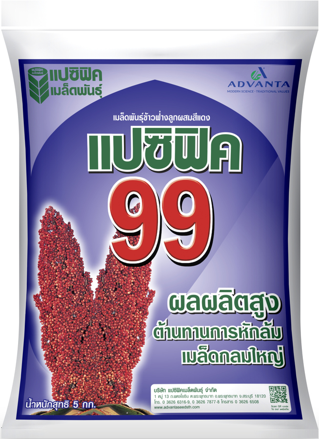 เมล็ดพันธุ์ข้าวฟ่างลูกผสม แปซิฟิค 99