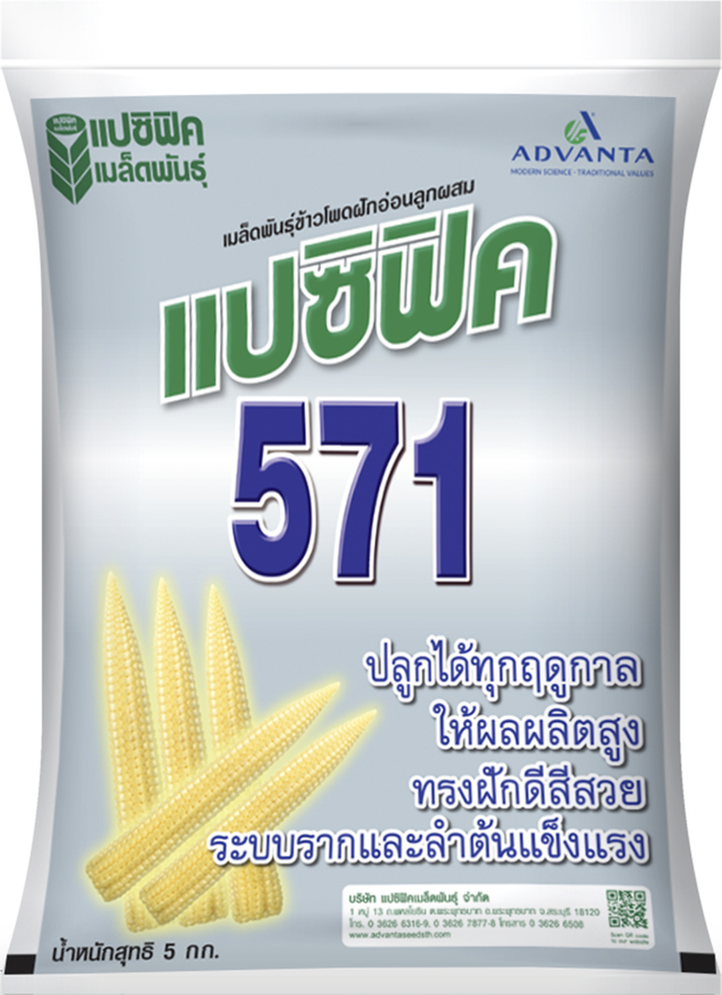 เมล็ดพันธุ์ข้าวโพดฝักอ่อนลูกผสม