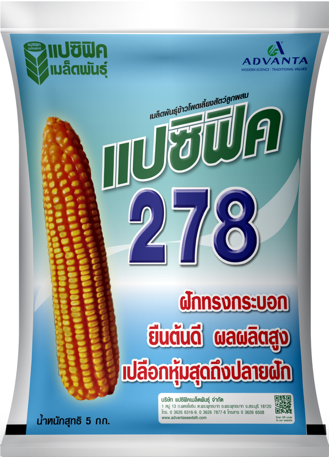 เมล็ดพันธุ์ข้าวโพดเลี้ยงสัตว์ลูกผสมเดี่ยว แปซิฟิค 278