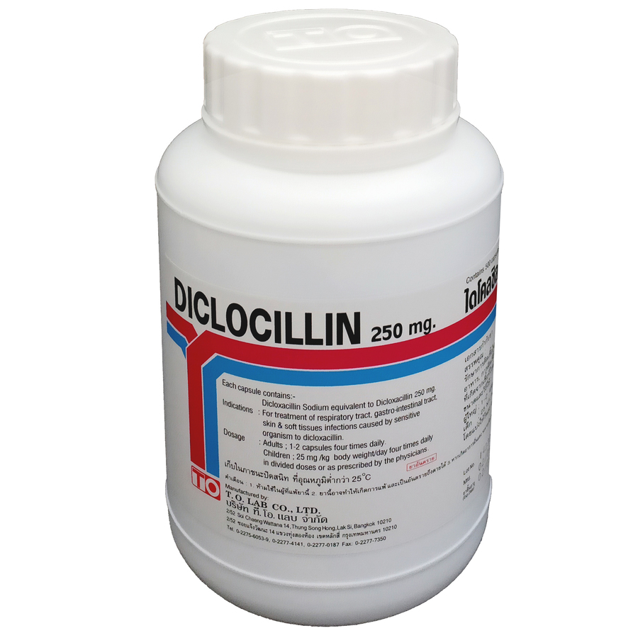 DICLOXACILLIN 250 mg