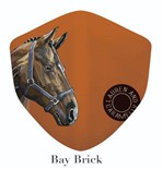 หน้ากากผ้า Bay brick -Autumn