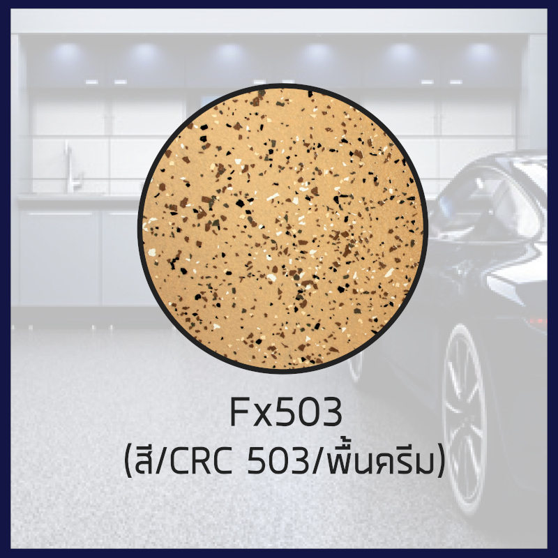ฟิกซี่ คัลเลอร์ ชิป ฟอร์ Fx503