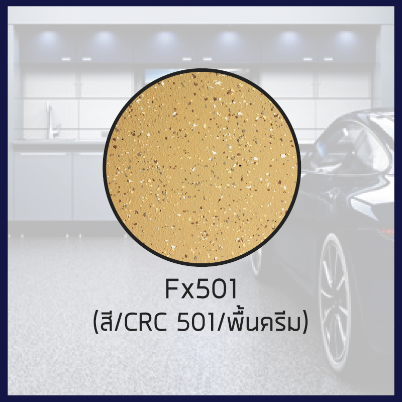 ฟิกซี่ คัลเลอร์ ชิป ฟอร์ Fx501