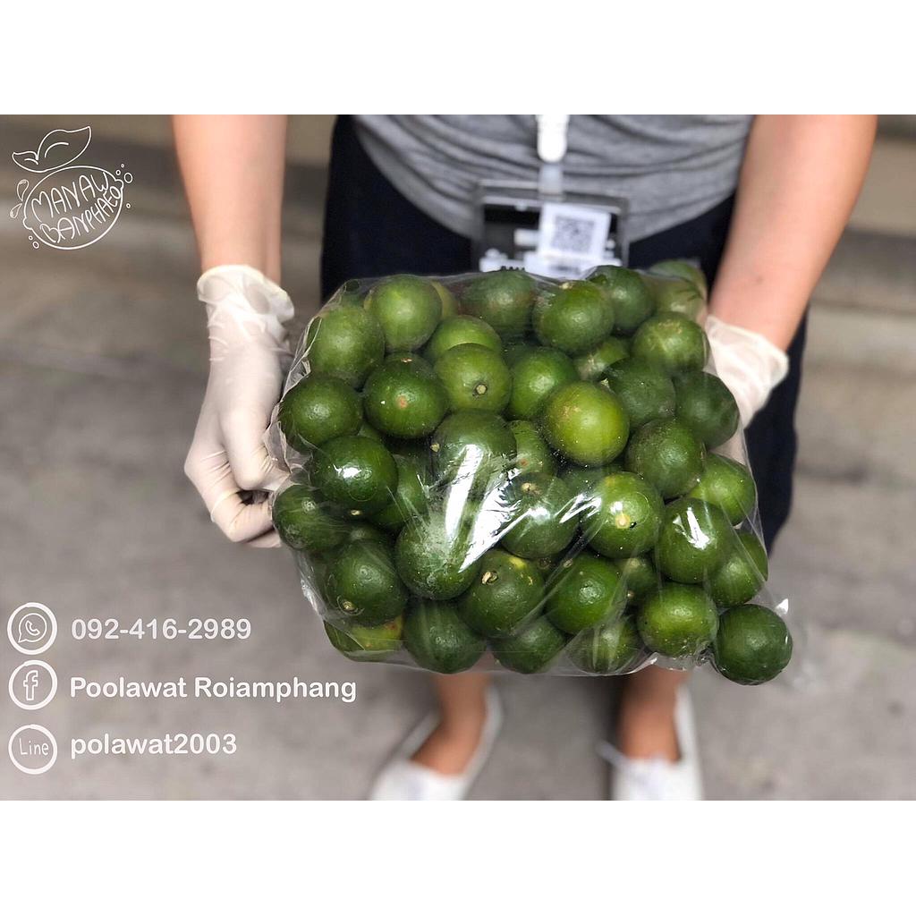 มะนาวบ้านแพ้ว Size เล็ก นำ้หนัก 1 กิโลกรัม
- น้ำเยอะ สามารถใช้ได้ทั้งลูก ไม่แกน ไม่แห้ง
- เปลือกบาง บีบง่าย ไม่เมื่อย ไม่จำเป็นต้องใช้เครื่องบีบ
- เก็บสดจากต้น เราเก็บวันต่อวันตามออเดอร์ ดังนั้นจะไม่มีของเก่าหรือค้างแน่นอน
- ส่งตรงจากสวน เก็บเช้า ส่งบ่าย เพื่อให้ถึงมือลูกค้าไวที่สุด 
- ชาวสวนมาขายเอง ดังนั้นจะได้ราคาไม่ผ่านคนกลาง ราคาดีที่สุดและของคุณภาพที่สุด