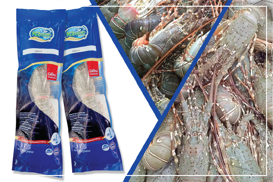 กุ้งมังกร แช่แข็ง 