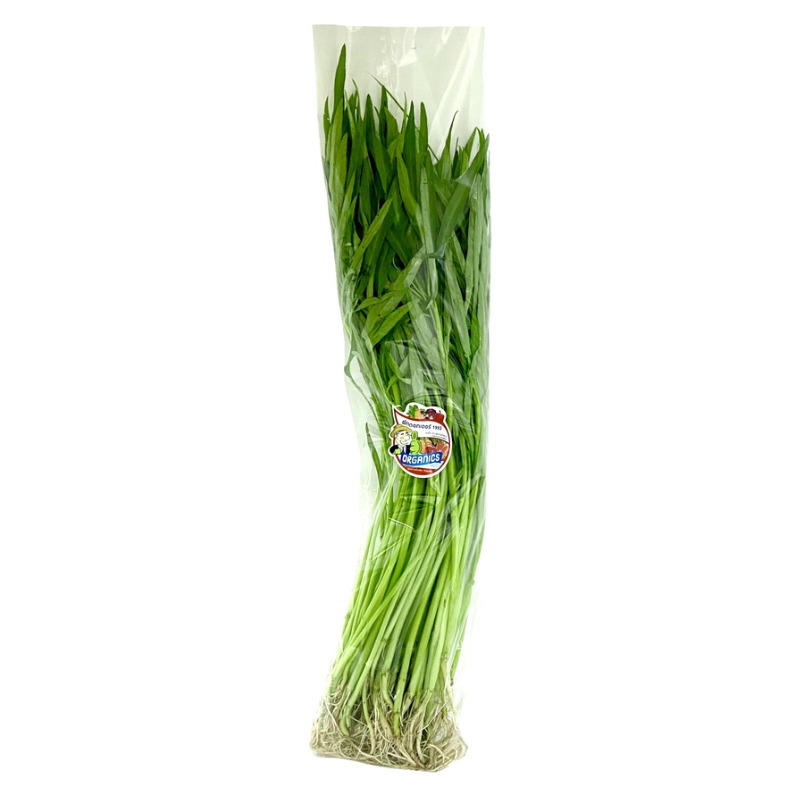 ผักบุ้งจีน Organic