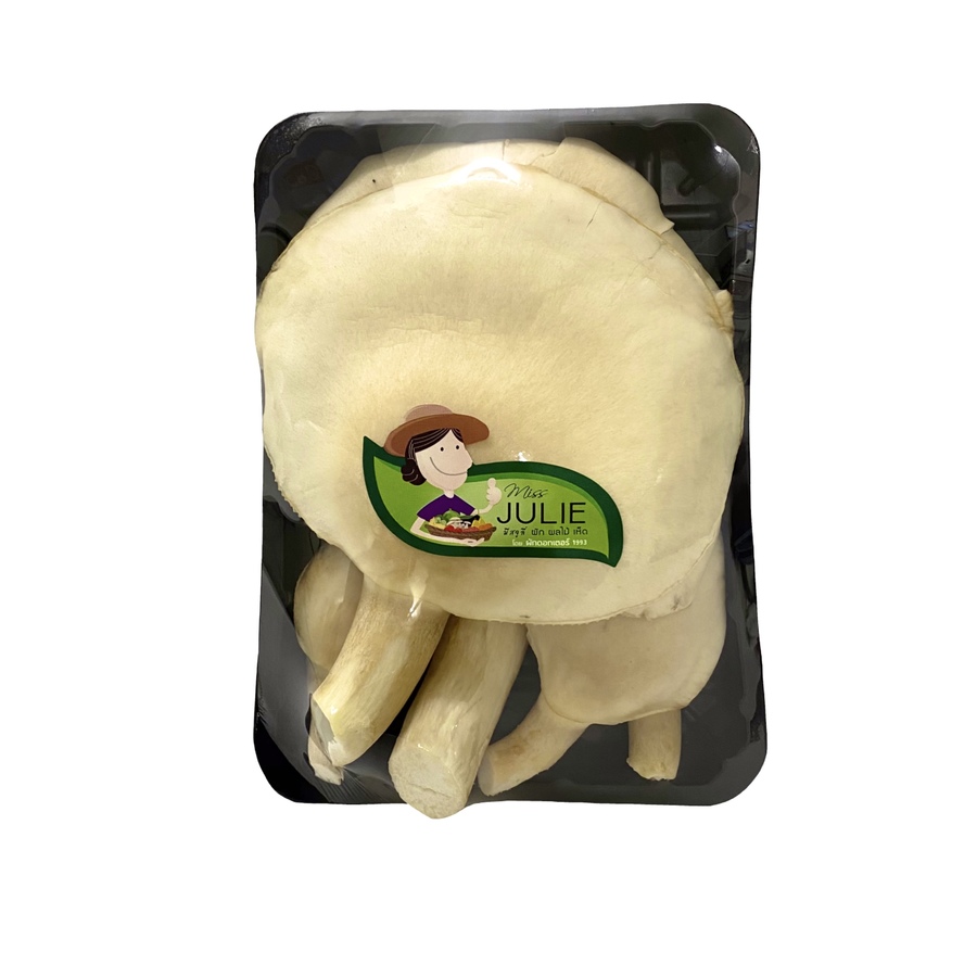 เห็ดเป๋าฮื้อสด