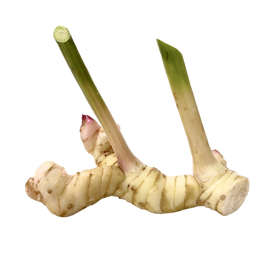 ข่าอ่อน