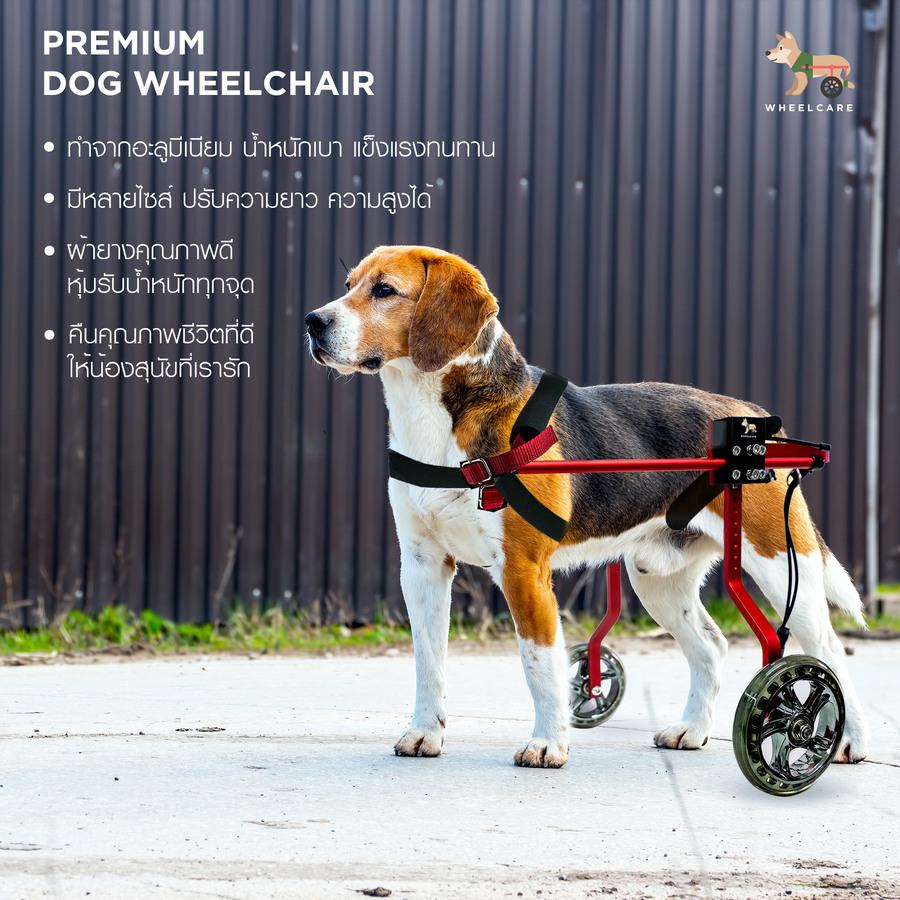 Wheelchair dog วีลแชร์ รถเข็น สำหรับสัตว์พิการขาหลัง ทำจากอลูมิเนียมอัลลอยด์ คุณภาพสูง มีหลายขนาดปรับได้ตามรูปร่างของสัตว์เลี้ยง (สีแดง WR-1) Size XL