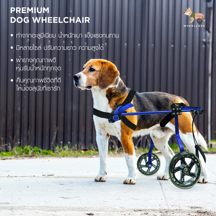 Wheelchair dog วีลแชร์สุนัข รถเข็น สำหรับสัตว์พิการขาหลัง ทำจากอลูมิเนียมอัลลอยด์ คุณภาพสูง มีหลายขนาดปรับได้ตามรูปร่างของสัตว์เลี้ยง (สีน้ำเงิน WB-1) Size S