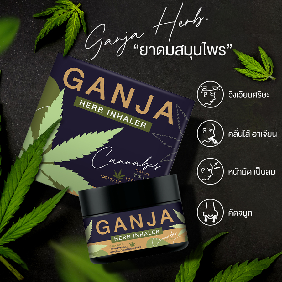 กัญจา เฮิร์บ อินเฮเลอร์
GANJA HERB INHELER
