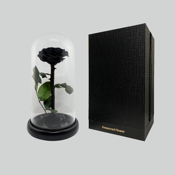 ดอกไม้พรีเซิร์ฟ, ดอกกุหลาบพรีเซิร์ฟ สีดำ ขนาด 5.25&quot;x10.5&quot; 
