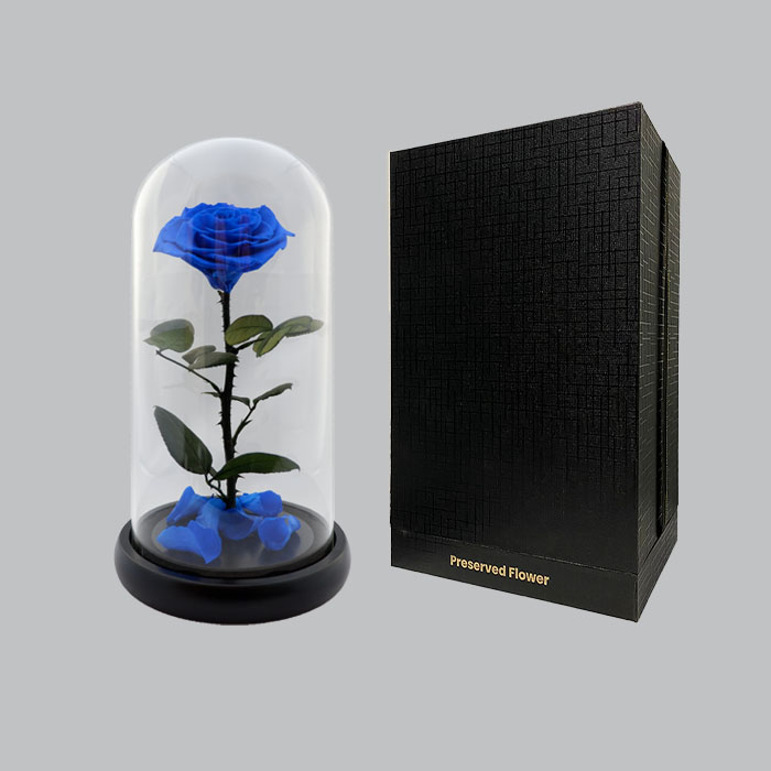 ดอกไม้พรีเซิร์ฟ, ดอกกุหลาบพรีเซิร์ฟ สีน้ำเงินเข้ม ขนาด 5.25&quot;x10.5&quot; 