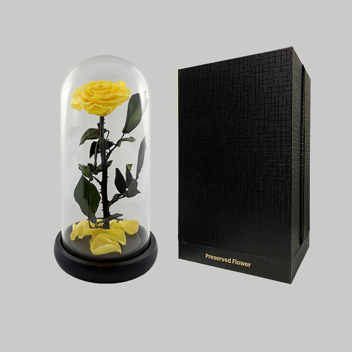 ดอกไม้พรีเซิร์ฟ, ดอกกุหลาบพรีเซิร์ฟ สีเหลืองทอง ขนาด 5.25&quot;x10.5&quot; 
