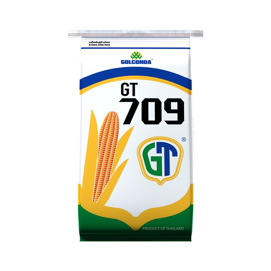 เมล็ดพันธุ์ข้าวโพด GT709(M)
