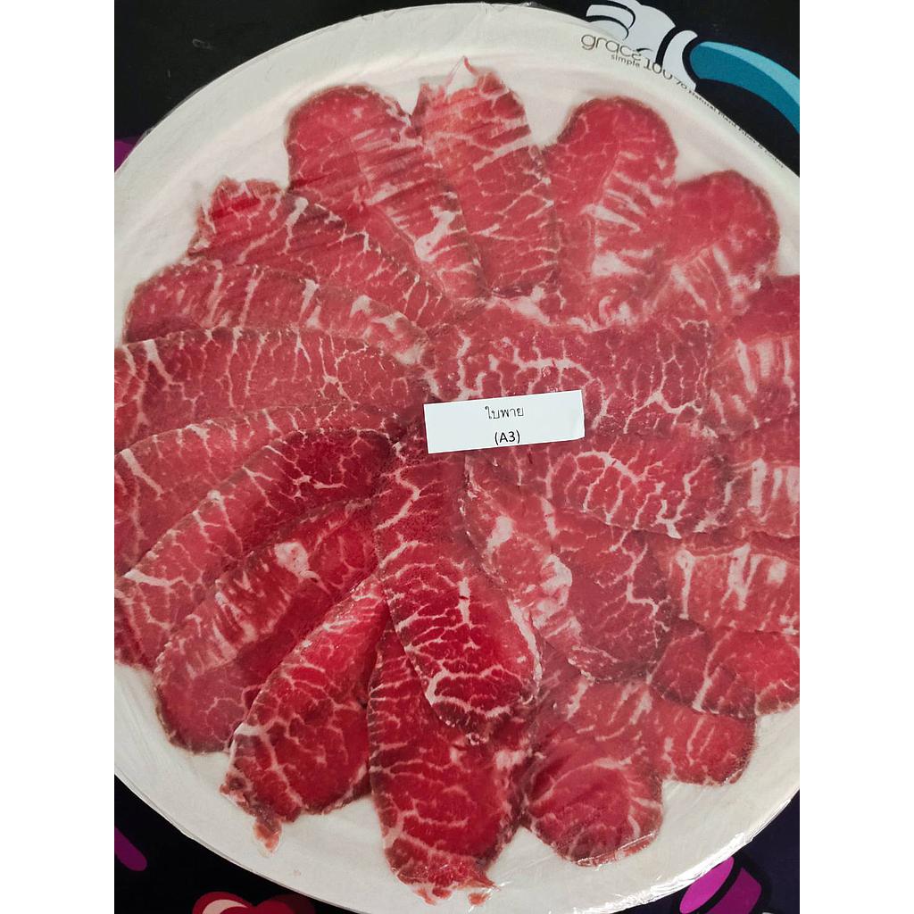 A3 เนื้อใบพาย