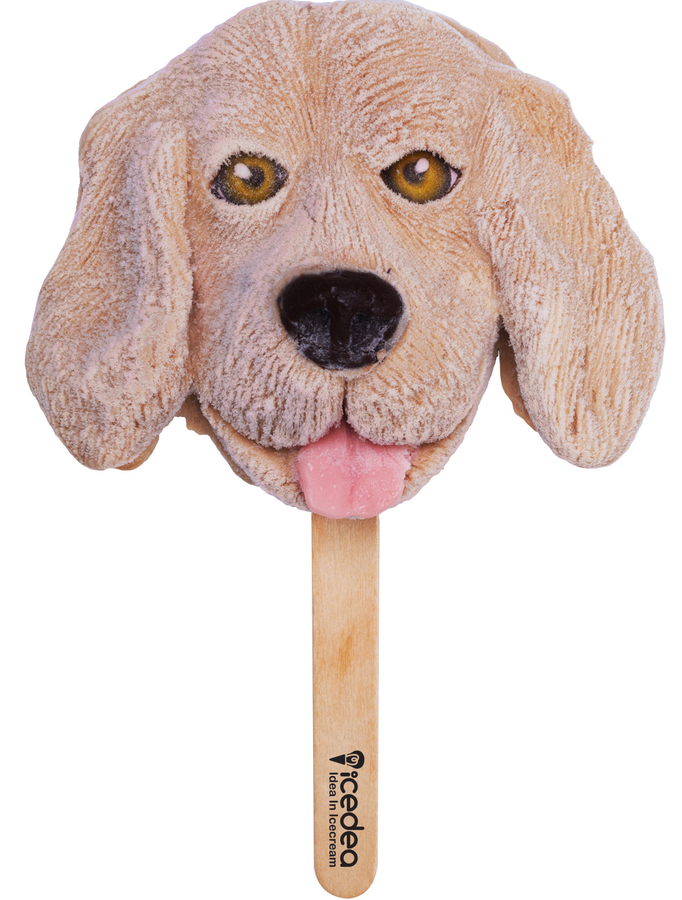ไอศครีมน้องหมาโกลเด้น (Golden Retreiver Ice cream Stick)