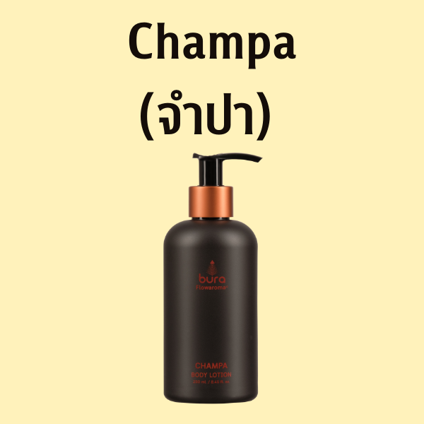 โลชั่นทาตัวกลิ่นจำปา