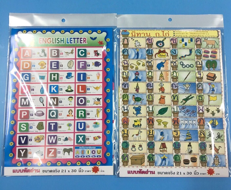การศึกษาแผ่นพับ