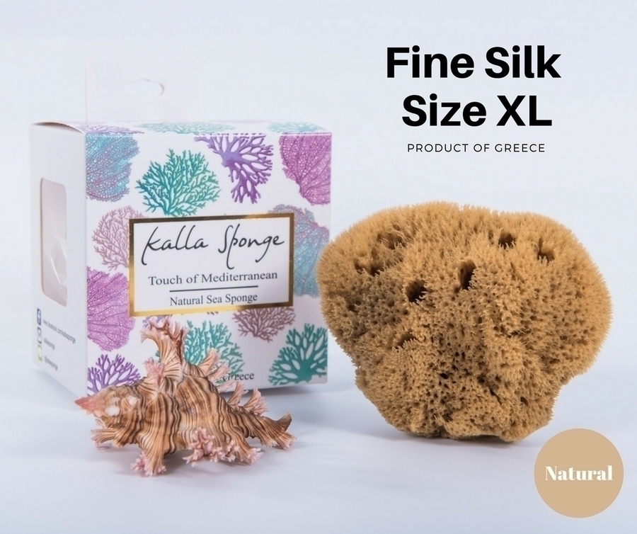 ฟองน้ำธรรมชาติ ชนิด Fine Silk ขนาด 15 สีน้ำตาล