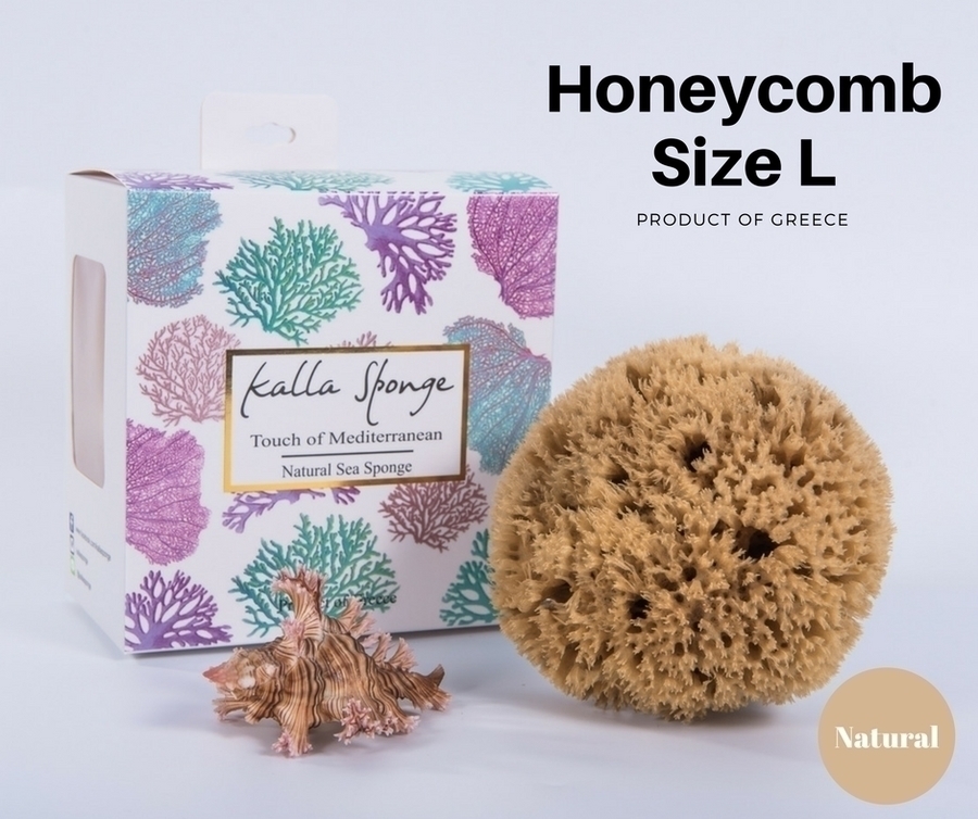ฟองน้ำธรรมชาติ ชนิด Honeycomb ขนาด 12 สีน้ำตาล