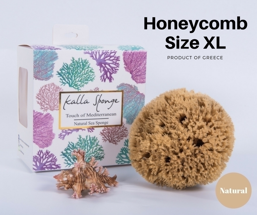ฟองน้ำธรรมชาติ ชนิด Honeycomb ขนาด 15 สีน้ำตาล